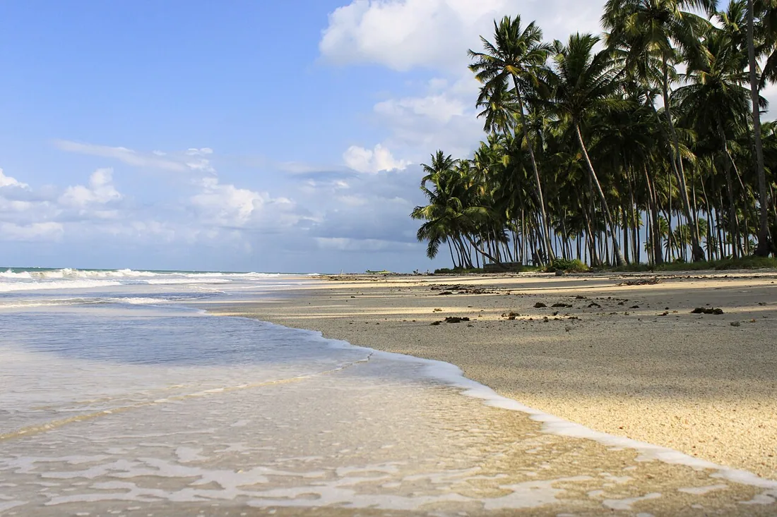 Fotografia de Praia dos Carneiros